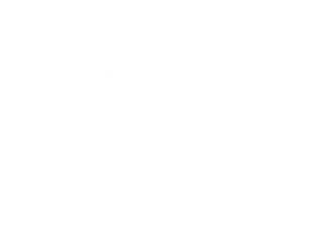 FLYING-PIG_final_white