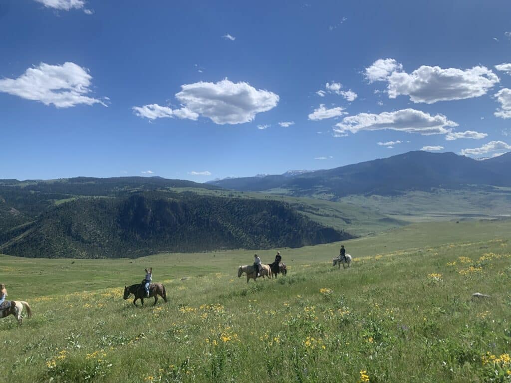 Horseback riding near Yellowstone