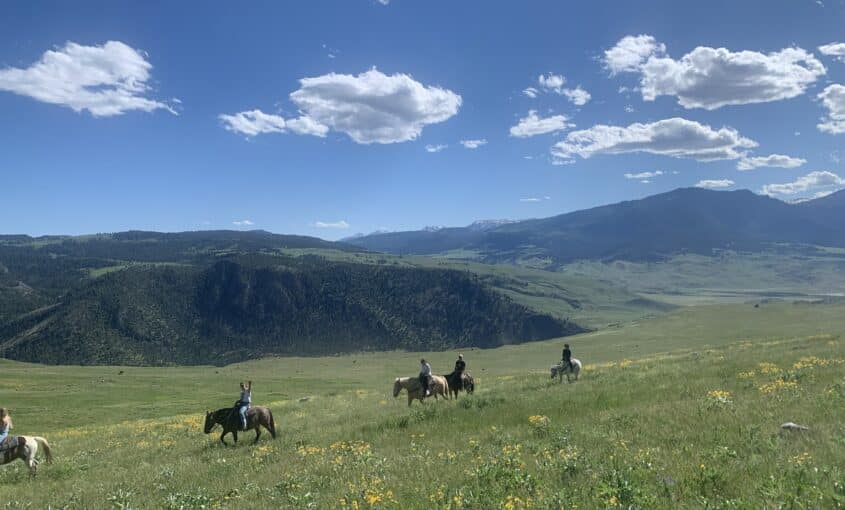 Horseback riding near Yellowstone