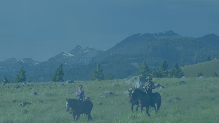 Three people horseback riding through a green meadow in Yellowstone National Park.