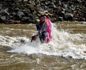 River guides falling out of a red raft in whitewater on the Yellowstone River.