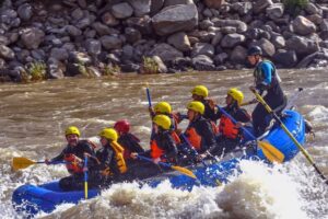 Adults whitewater rafting on the Yellowstone River in Montana.